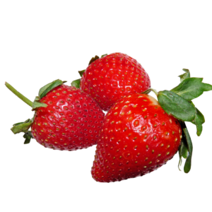 Kasmir Variety